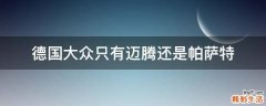 德国大众只有迈腾还是帕萨特