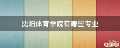 沈阳体育学院有哪些专业