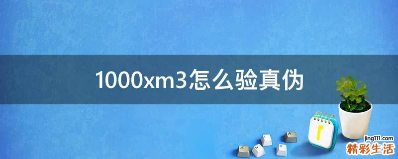 1000xm3怎么验真伪