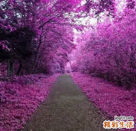 小儿麻痹后遗症的严重危害