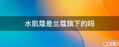 水肌蔻是兰蔻旗下的吗