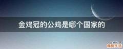 金鸡冠的公鸡是哪个国家的