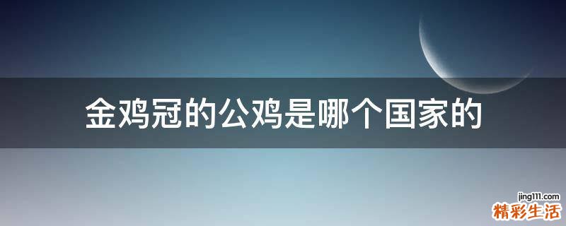 金鸡冠的公鸡是哪个国家的