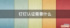 钉钉认证需要什么