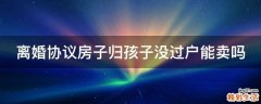 离婚协议房子归孩子没过户能卖吗