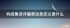 构成集资诈骗罪法条定义是什么