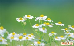 空腹血糖低的原因有哪些