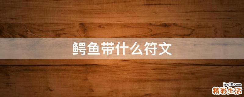 鳄鱼带什么符文