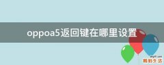 oppoa5返回键在哪里设置
