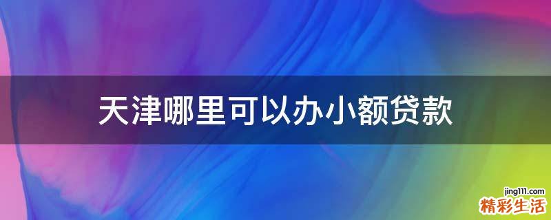 天津哪里可以办小额贷款