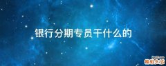 银行分期专员干什么的