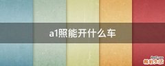 a1照能开什么车