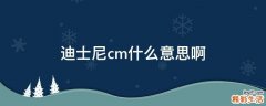 迪士尼cm什么意思啊