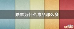 陆丰为什么毒品那么多
