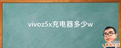 vivoz5x充电器多少w