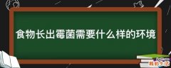 食物长出霉菌需要什么样的环境