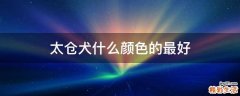 太仓犬什么颜色的最好