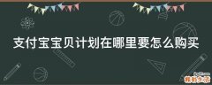 支付宝宝贝计划在哪里要怎么购买