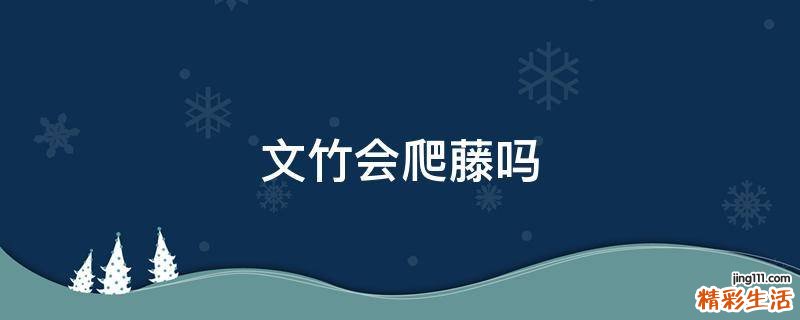 文竹會爬藤嗎