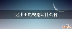 迟小玉电视剧叫什么名