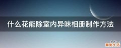 什么花能除室内异味相册制作方法