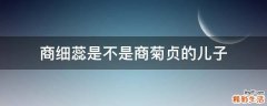 商细蕊是不是商菊贞的儿子