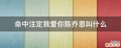 命中注定我爱你陈乔恩叫什么