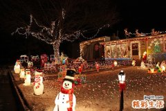 自己執(zhí)藥要小心淮山杞子也有A貨