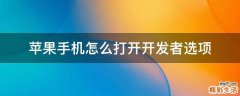 苹果手机怎么打开开发者选项