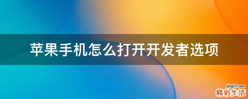 苹果手机怎么打开开发者选项