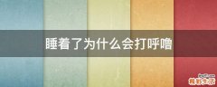 睡着了为什么会打呼噜