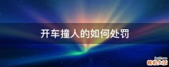 开车撞人的如何处罚
