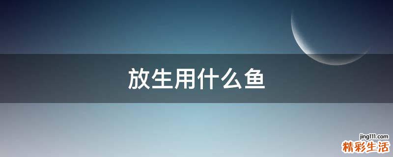 放生用什么鱼