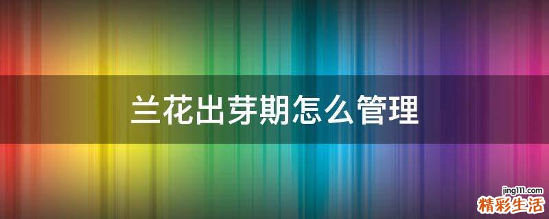 兰花出芽期怎么管理