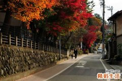 血糖多少会引起酮体高