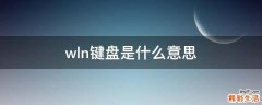 wln键盘是什么意思