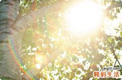 职场忍气吞声更易得心脏病