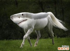 拇指血测血糖准吗