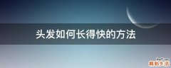头发如何长得快的方法