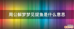 周公解梦梦见捉鱼是什么意思