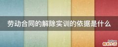 劳动合同的解除实训的依据是什么