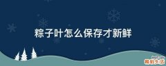 粽子叶怎么保存才新鲜