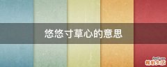 悠悠寸草心的意思