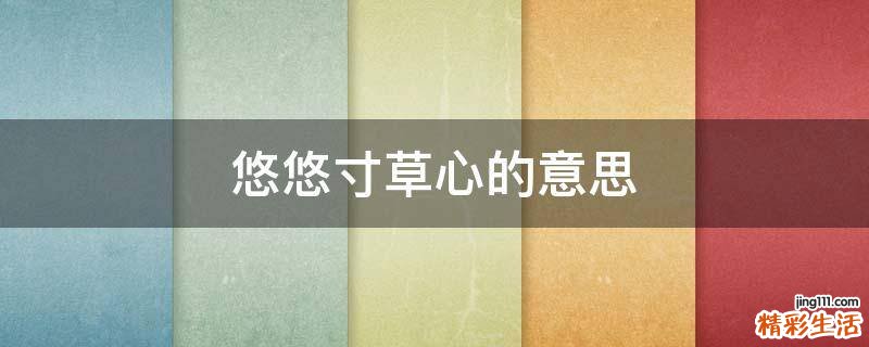 悠悠寸草心的意思