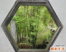 春季养肝家常粥的做法