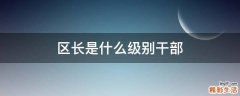 区长是什么级别干部