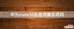 华为mate30会是鸿蒙系统吗