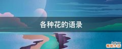 各种花的语录
