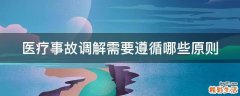 医疗事故调解需要遵循哪些原则