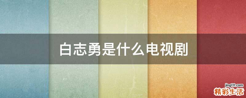 白志勇是什么电视剧
